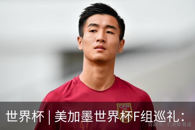 世界杯 | 美加墨世界杯F组巡礼：“死亡之组”的24种排列组合