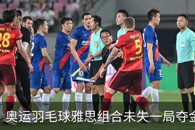 奥运羽毛球雅思组合未失一局夺金 成就混双大满贯