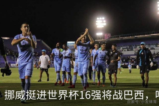 挪威挺进世界杯16强将战巴西，哈兰德发声