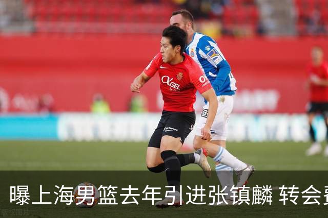 曝上海男篮去年引进张镇麟 转会费投入超5000万